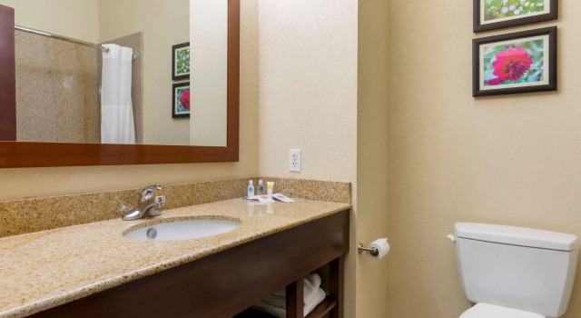 Двухместный люкс Comfort Suites Copperas Cove
