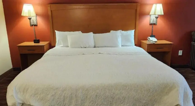 Номер Standard Hampton Inn Twin Falls