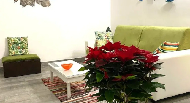 Апартаменты Classic Iris Apartment - comfort e stile