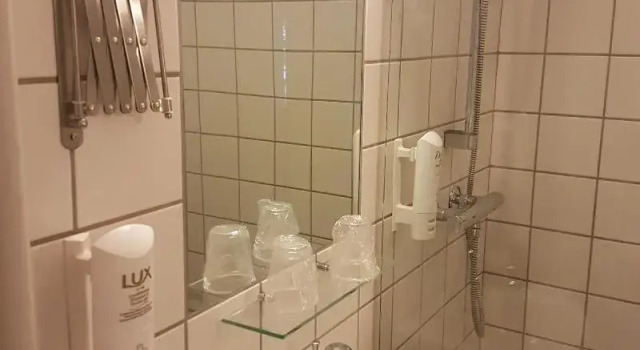 Одноместный номер Standard Hotel Strandparken
