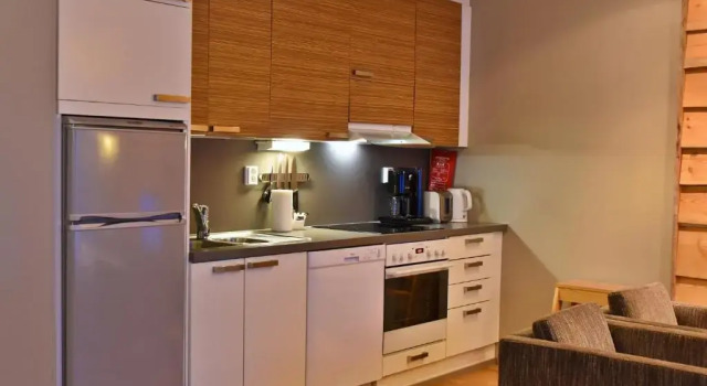 Апартаменты Levi Suites Levin Klubi