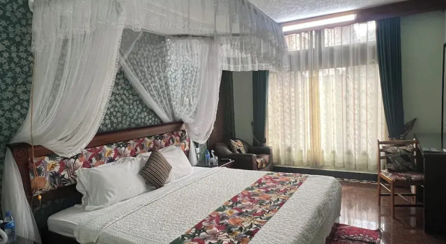 Одноместный номер Deluxe New Dodoma Hotel