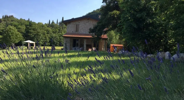 Вилла с 3 комнатами Agriturismo Casa del Castagneto