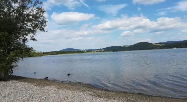 Am See 90, Réserver Hôtel Seekirchen am Wallersee Wallersee