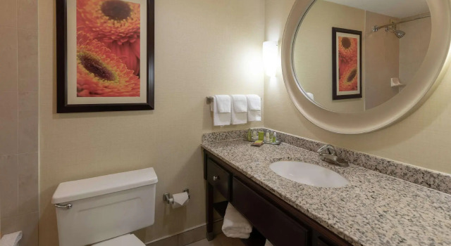 Standard double chambre DoubleTree by Hilton Norfolk Airport
