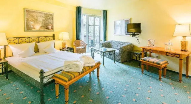 Двухместный номер Standard Best Western Wein- und Parkhotel