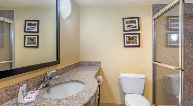 Двухместный люкс Comfort Inn & Suites Charleston Airport Convention Center