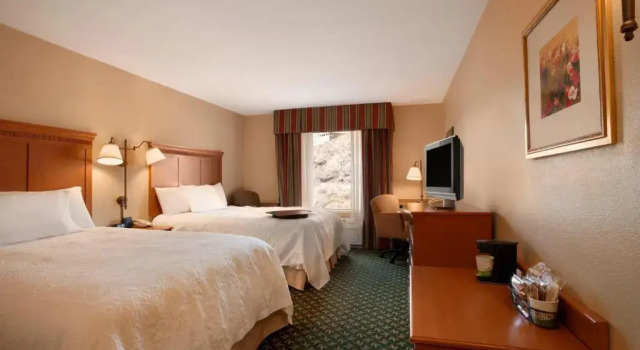 Двухместный номер Standard Hampton Inn Canon City