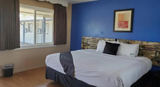 Номер Standard PineCrest Inn & Suites