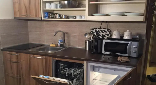 Студия с балконом и с красивым видом из окна Apartments Andrejic