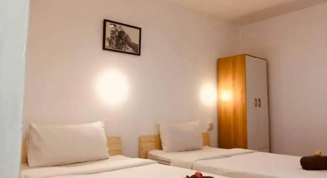 Номер Standard Owl's Nest Hostel
