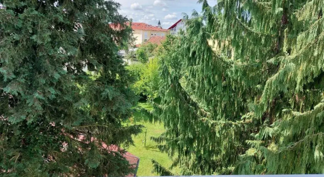 Студия Haus Mirabell