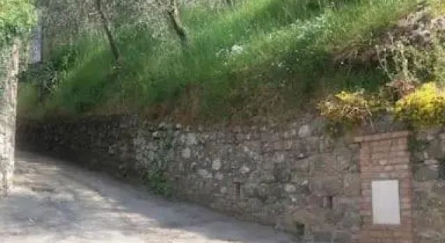 Amazing house sourrounding by nature