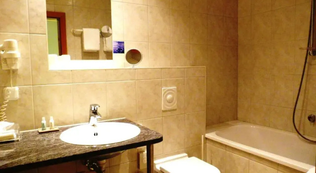 Двухместный номер Standard Ferien Residenz Thüringer Wald