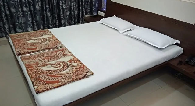Люкс Hotel Rajshree Lodging