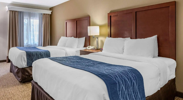 Четырёхместный номер Standard Comfort Inn Kalamazoo