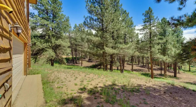 Апартаменты Angel Fire Apartment ~ 2 Mi to Resort!