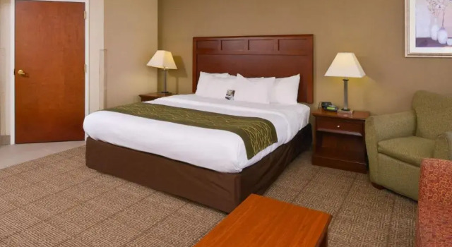 Номер Standard Comfort Inn Dickson
