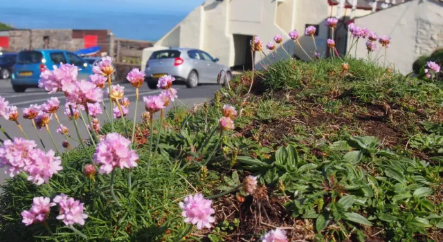 Номер Standard Hartland Quay Hotel