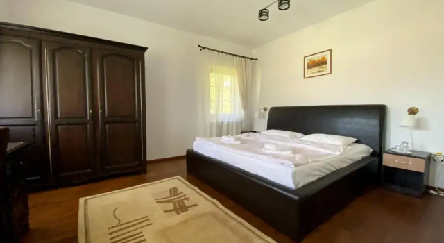 Appartamento Standard Casa Strabunicului