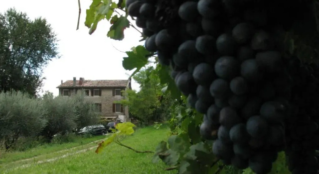 I Vigneti Bed & Breakfast