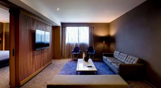 Люкс Executive Pullman Sao Paulo Guarulhos Airport