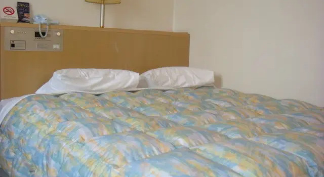Двухместный номер Standard Tsubamesanjo Washington Hotel