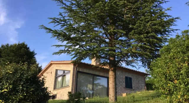 Agricola Caicucci