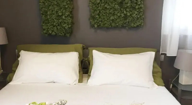 Art B&B Design