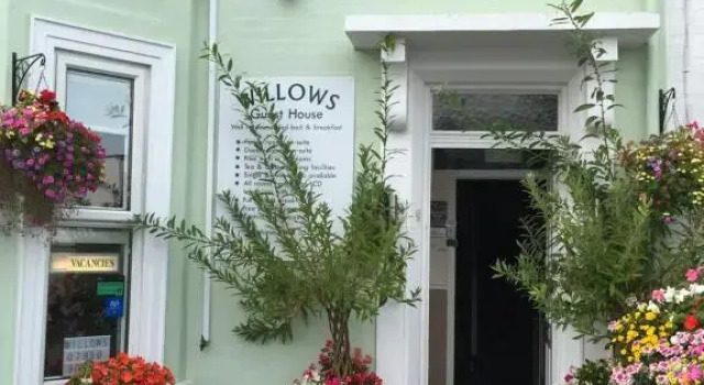 Номер Standard Willows Guest House