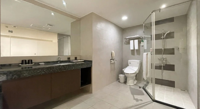 Двухместный номер Superior Guide Hotel Hsinchu Zhongyang