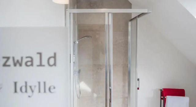 Двухместный номер Standard Отель Landgasthof zum Pflug