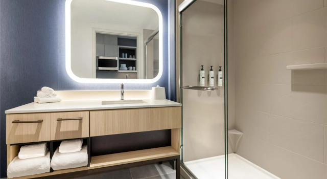 Четырёхместный номер Standard Homewood Suites By Hilton Surrey
