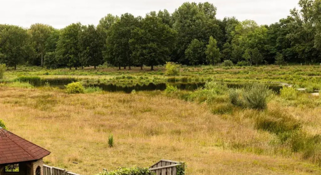 Номер Standard Veldschuur Nijverdal