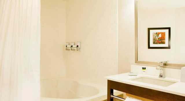 Двухместный номер Standard Four Points by Sheraton Newark Christiana Wilmington