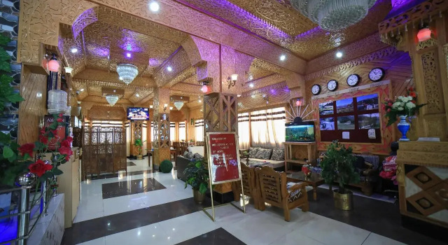 Hotel shimla hills international