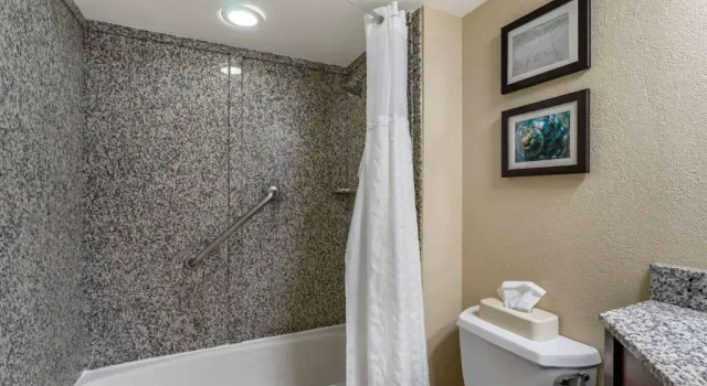 Двухместный люкс c 1 комнатой Comfort Inn & Suites St Pete - Clearwater International Airport