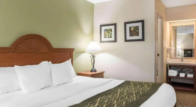 Номер Standard Comfort Inn Pine Grove I-81 Hershey Area