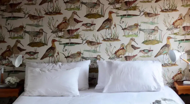 Номер Standard Hotel Boutique Casa Werner