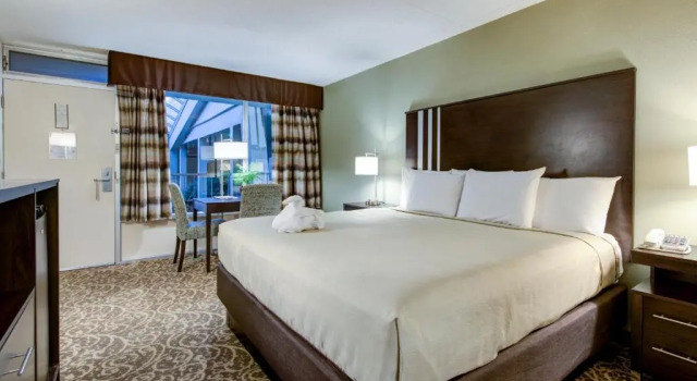 Номер Standard с видом на бассейн Glenstone Lodge