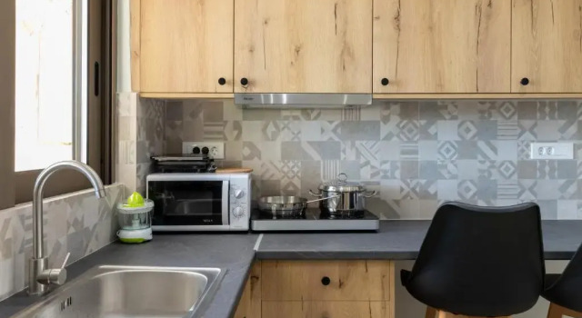 1 Bedroom Apartment Thea Studio