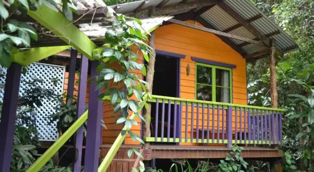 Bungalow med haveudsigt Rainforest Hideaway