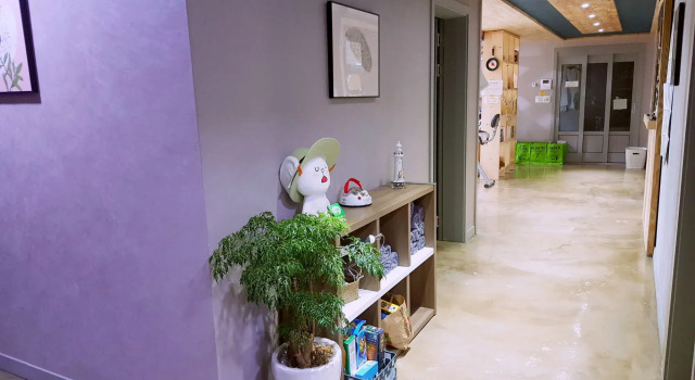 B&B Zary Hostel, Rezervasyon Pansiyon / Hostel Sokcho hosteller, Pansiyon / Hostel