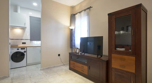 Apartamentos Tejares de Triana, Забронировать Апартаменты/квартира Апартаменты Севильи, рядом с Музей CaixaForum Sevilla, Апартаменты/квартира