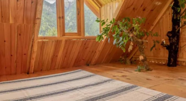 Коттедж Swastika aashiyana tree house