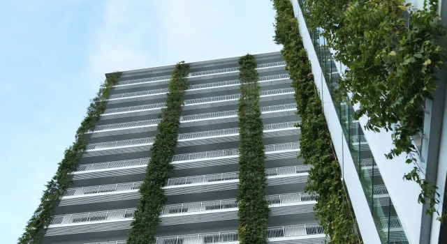 Bellevue Serviced Apartments