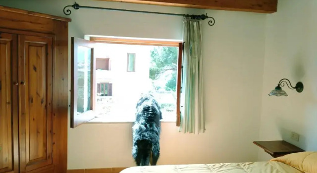 Коттедж Villa Paladino Solunto