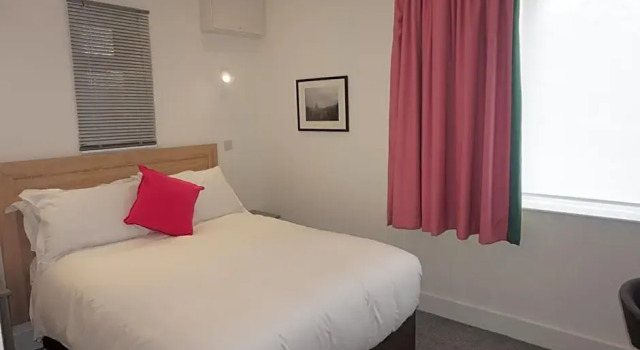 Номер Economy County Hotel