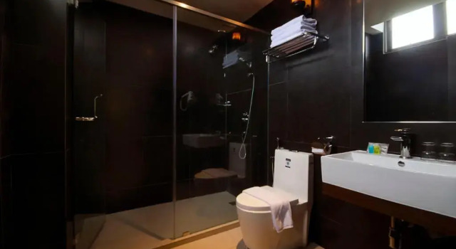 Люкс Palm Hotel Ipoh
