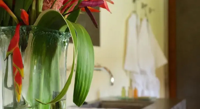 Люкс Pagua Bay House Oceanfront Cabanas